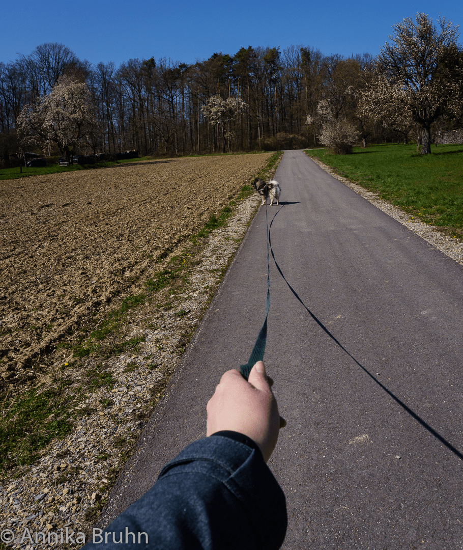 Q an der Schleppleine